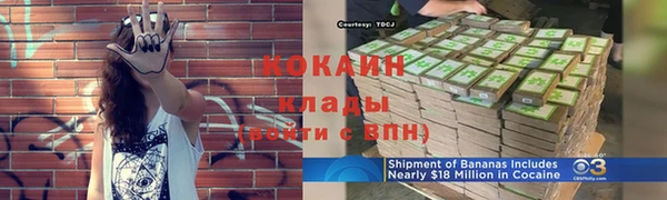 СК Верея