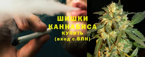 молекула духа Бородино