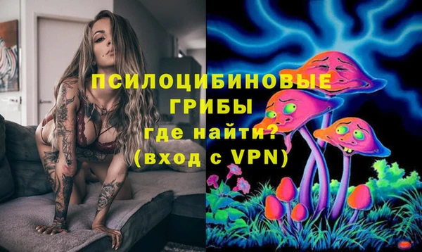 СК Верея