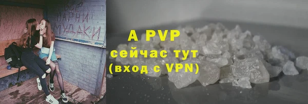 СК Верея