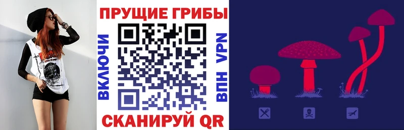 Галлюциногенные грибы мицелий  Дубна 